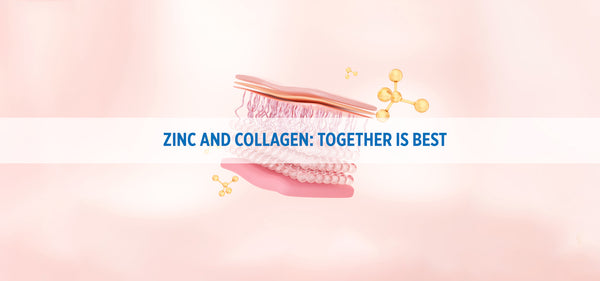 Zinc and Collagen: Together is best