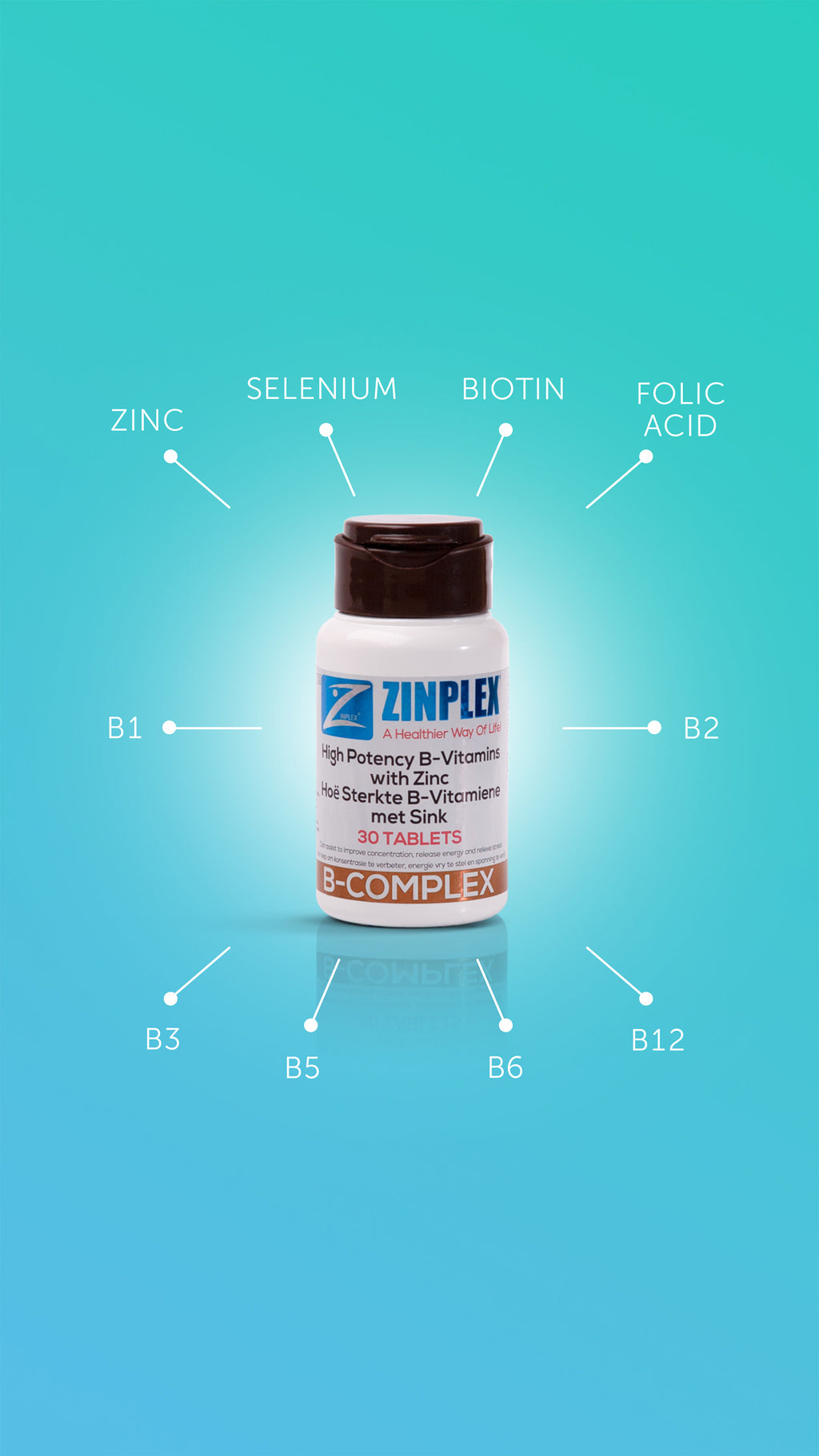 Zinplex Range Zinplex® B Complex Tablets – Zinplex South Africa